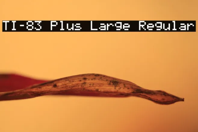 TI-83 Plus Large Regular Example 1