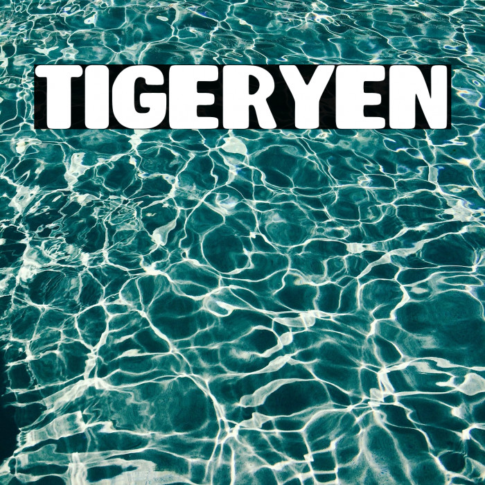 TIGERYEN Example 3