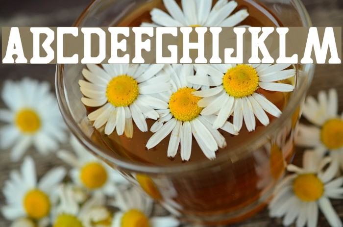 TIGRES UANL Example 2