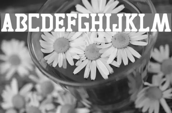 TIGRES UANL Font examples