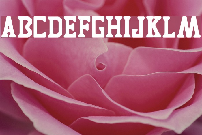 TIGRES UANL Example 3