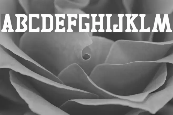 TIGRES UANL Font examples