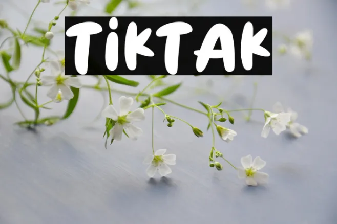 TIKTAK Example 2