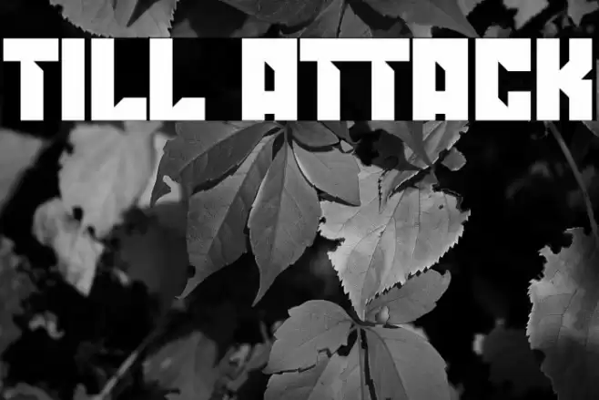 TILL ATTACK Font examples