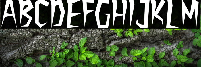 TIME MOVER Example 1