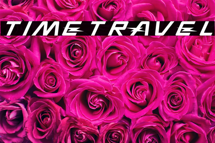 TIMETRAVEL Example 1