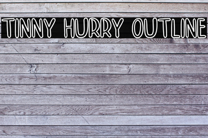 TINNY HURRY OUTLINE Example 1