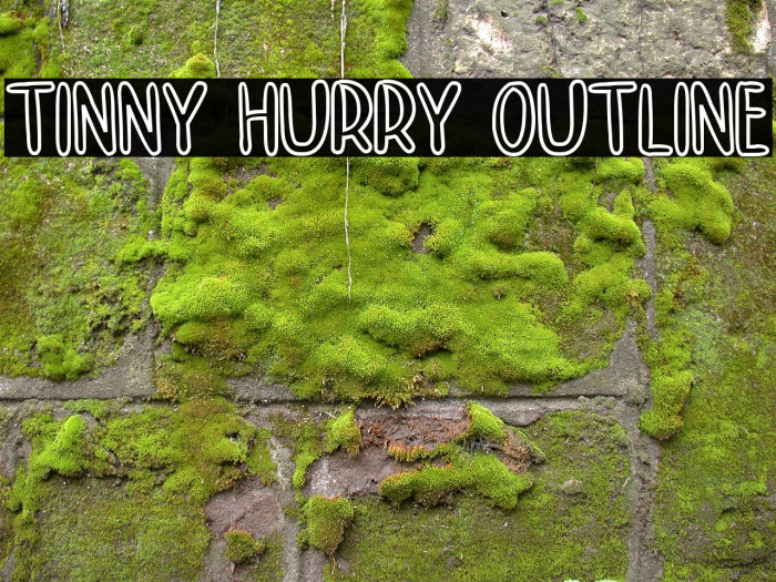 TINNY HURRY OUTLINE Example 2