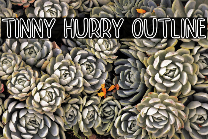 TINNY HURRY OUTLINE Example 3