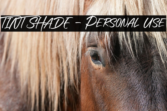 TINT SHADE - Personal Use Example 2