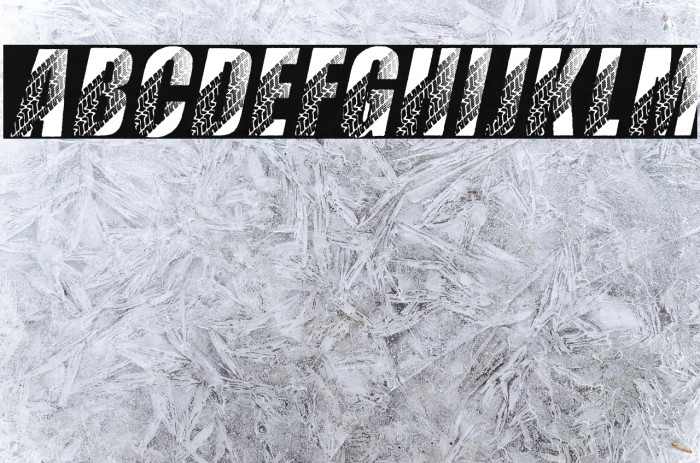 TIRES ITALIC PERSONAL USE Bold Italic Example 1