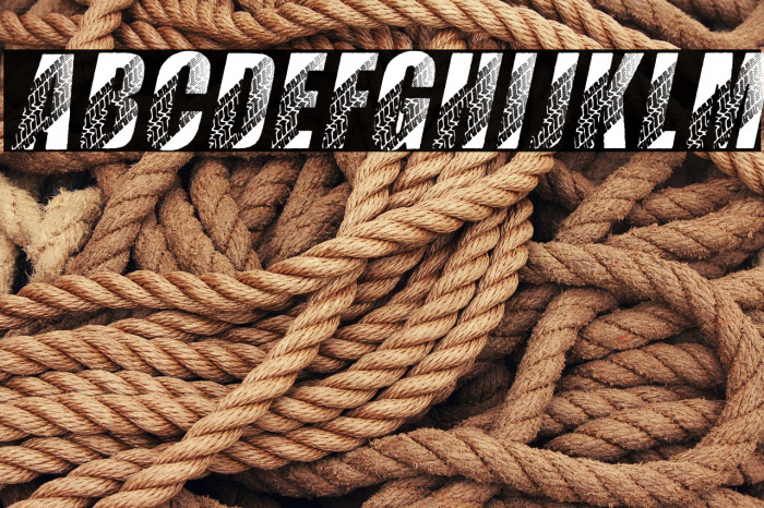 TIRES ITALIC PERSONAL USE Bold Italic Example 3