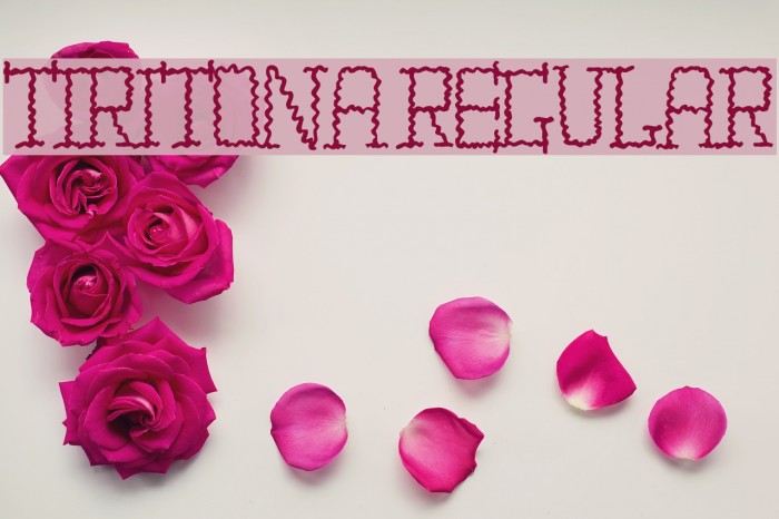 TIRITONA REGULAR Example 1