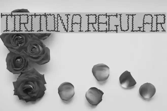 TIRITONA REGULAR Font examples