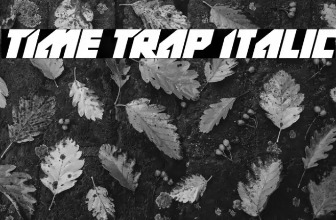 TIme TRap Italic Font examples