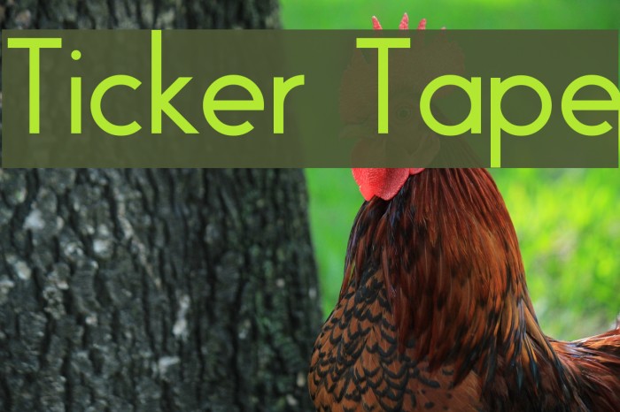 Ticker Tape Polices examples