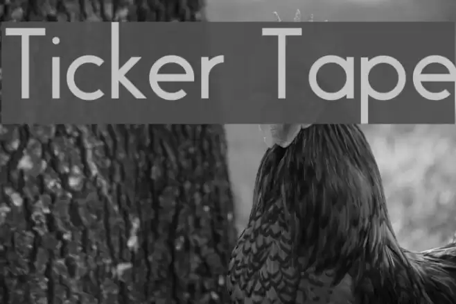 Ticker Tape Font examples