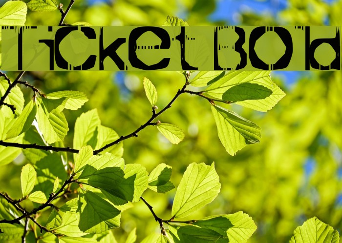 Ticket Bold Font examples