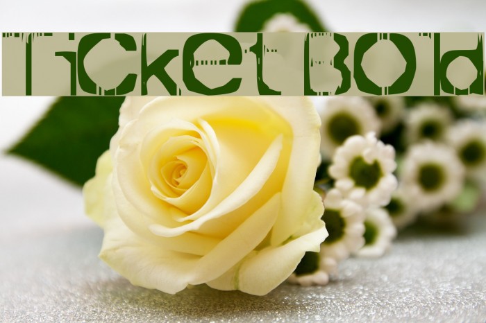 Ticket Bold Font examples