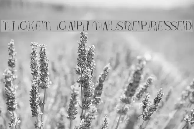 Ticket CapitalsRepressed Schriftart examples