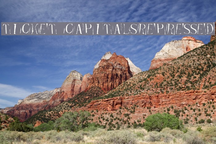 Ticket CapitalsRepressed Font examples