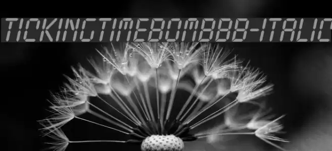 TickingTimebombBB-Italic Font examples