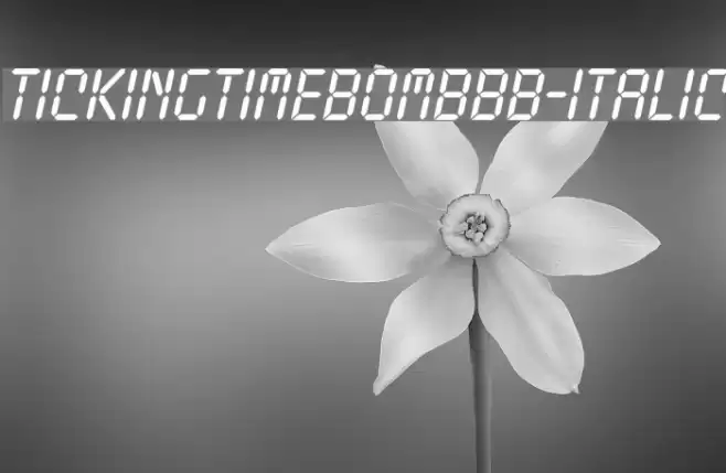 TickingTimebombBB-Italic Font examples