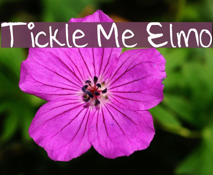 Tickle Me Elmo Font examples