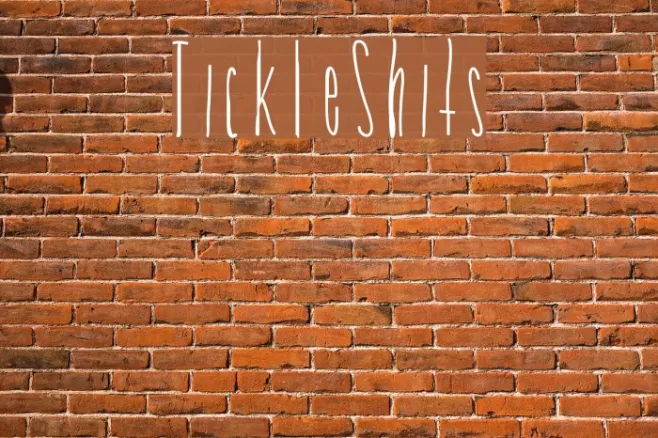TickleShits Example 1