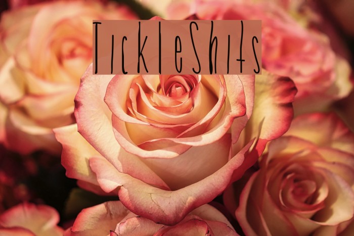 TickleShits Font examples