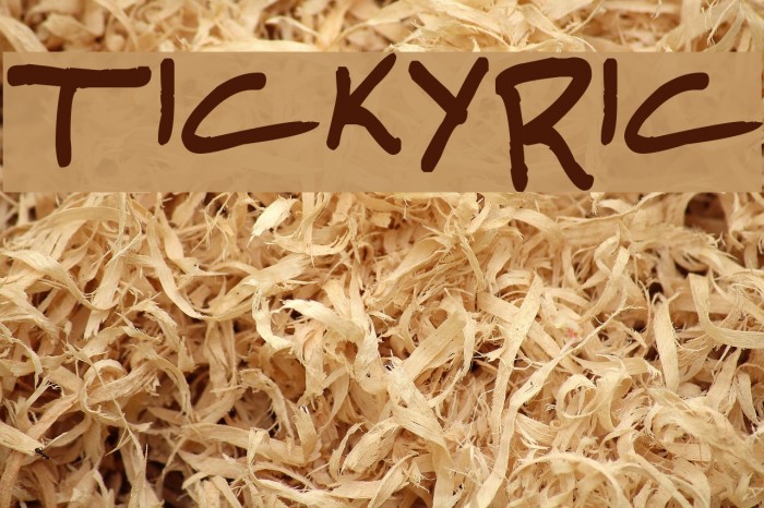 TickyRic Font examples