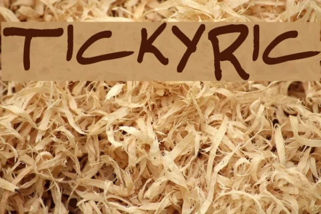 TickyRic Example 3