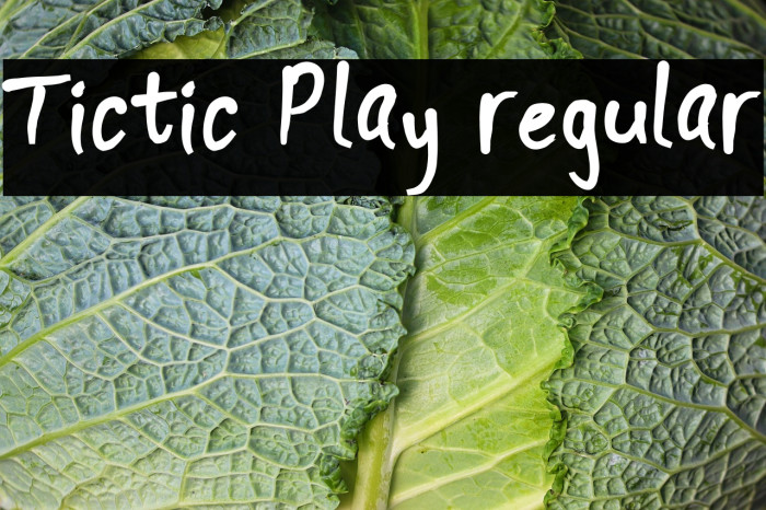 Tictic Play regular Example 3