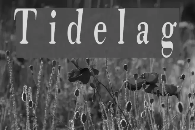 Tidelag Font examples