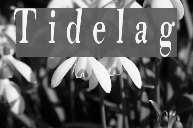 Tidelag Font examples