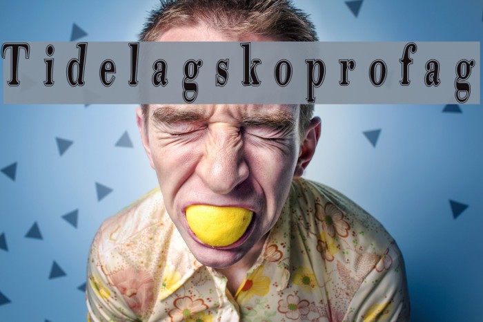 Tidelagskoprofag Example 2