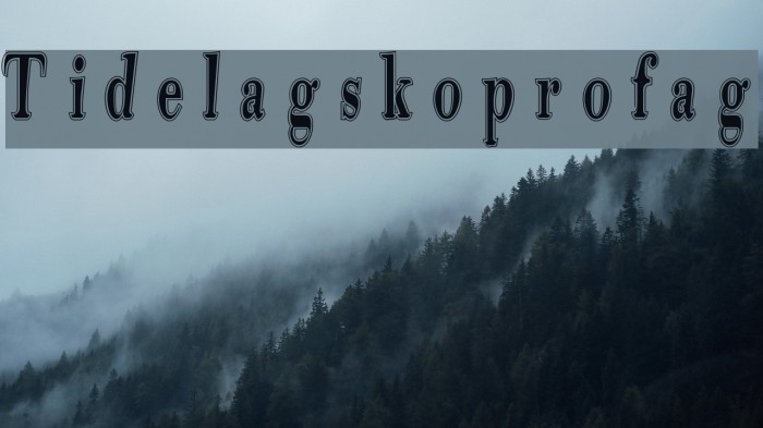 Tidelagskoprofag Example 3