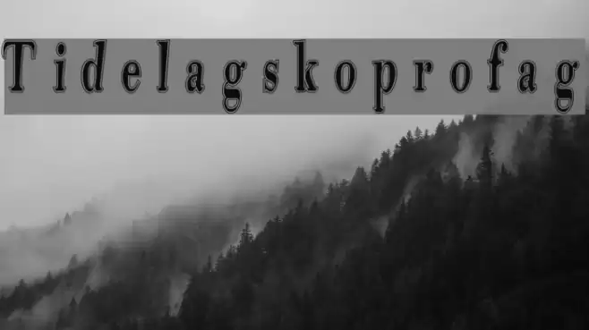 Tidelagskoprofag Font examples
