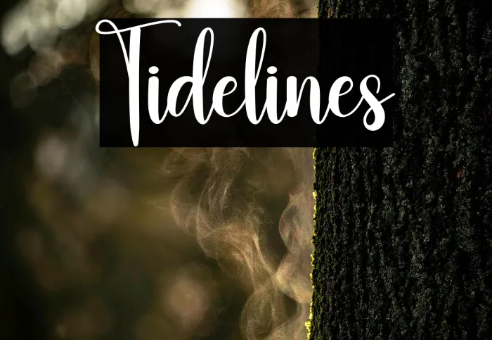 Tidelines Example 3