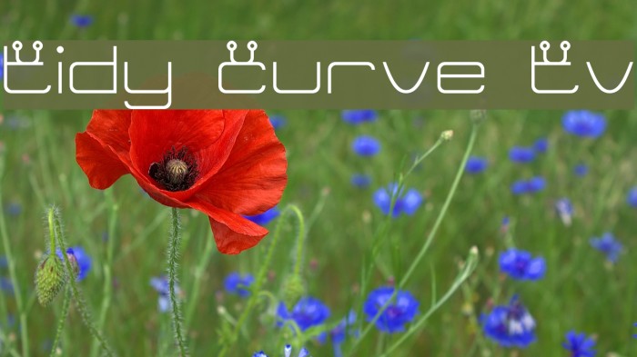 Tidy Curve TV Font examples