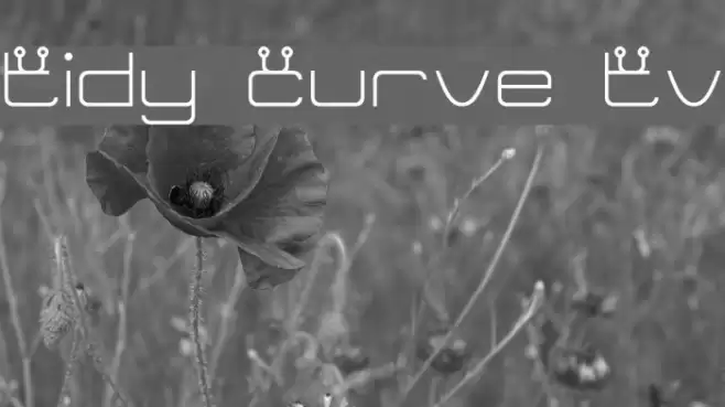 Tidy Curve TV Schriftart examples