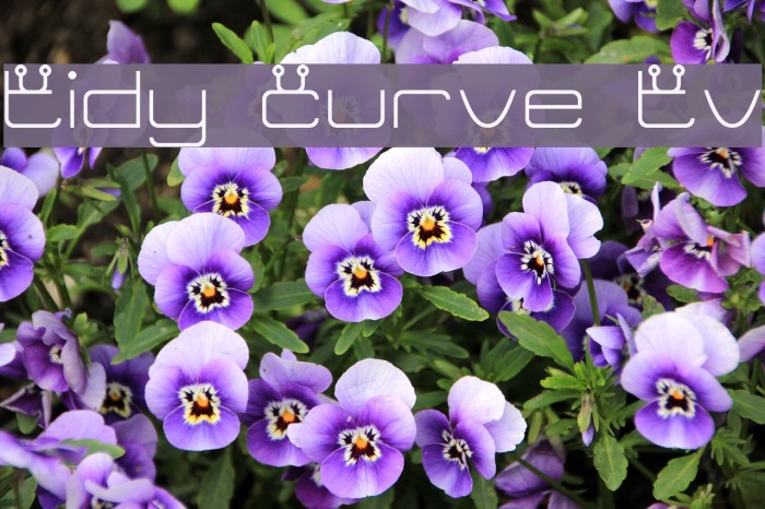 Tidy Curve TV Font examples