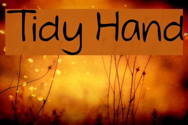 Tidy Hand Example 3