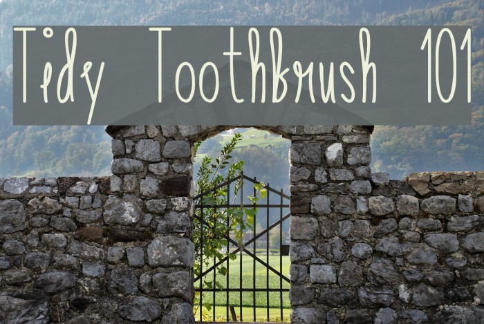 Tidy Toothbrush 101 Font examples