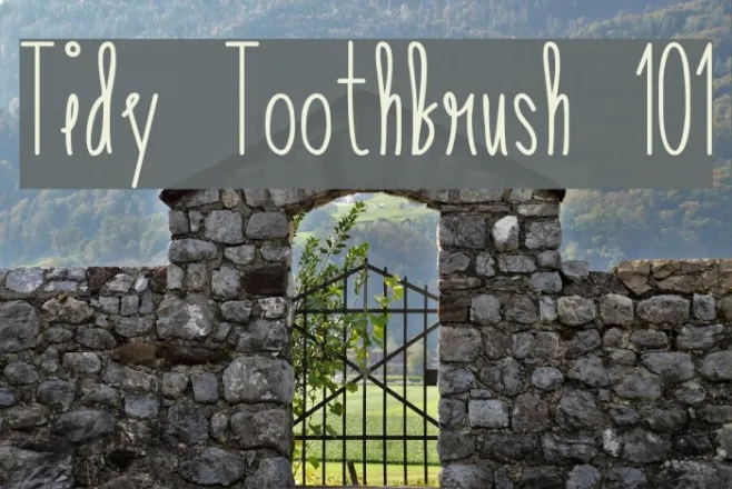 Tidy Toothbrush 101 Example 1