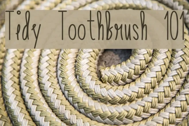 Tidy Toothbrush 101 Example 2