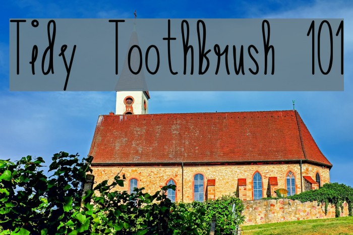 Tidy Toothbrush 101 Font examples