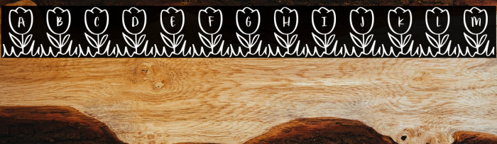 Tidy*Tulips Example 2