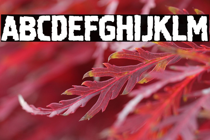 Tiempos Modernos Example 3