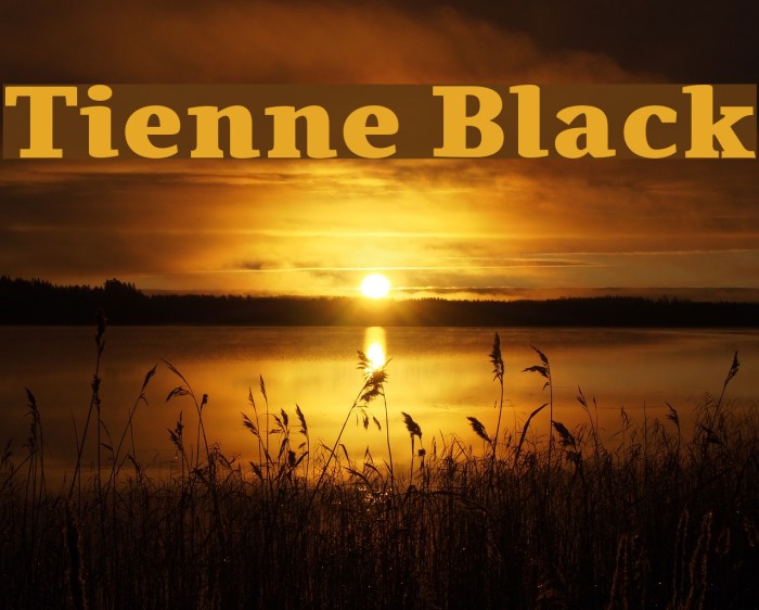 Tienne Black Font examples
